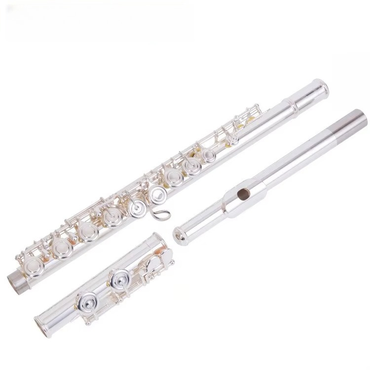 Musical Instrument In Orchestra - Seruling Profesional C Key Berlapis Nikel