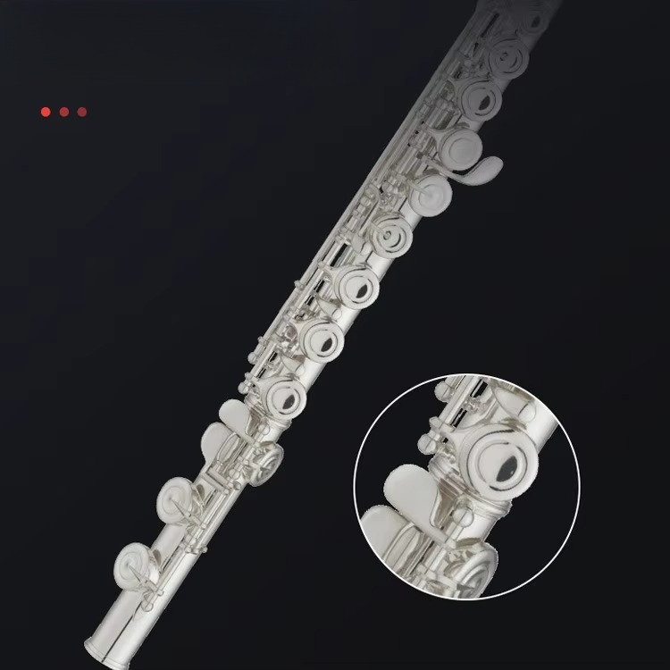 Seruling Profesional C Key Ber - Musical Instrument In Orchestra ulasan dan harga